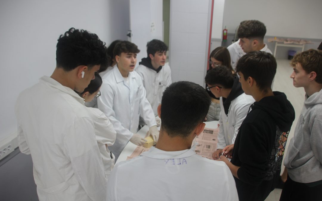 Scape Room de Química per tancar el curs de 2n de Batxillerat